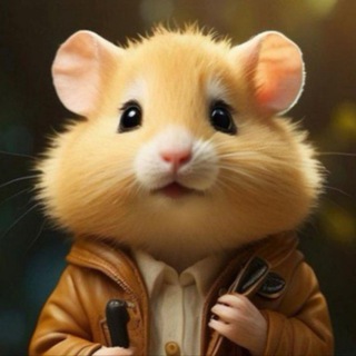 Telegram profile photo for Airdrop Türkiye
