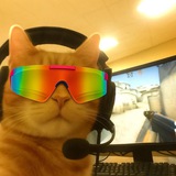 Telegram profile photo for catwifglasses