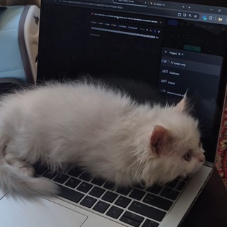 Telegram profile photo for cecpital gains