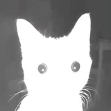 Telegram profile photo for ангелина плиз