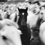 Telegram profile photo for TELUEPREM ON STORE.