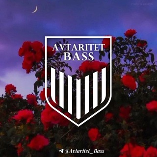 Telegram profile photo for AVTARITET | BASS๐