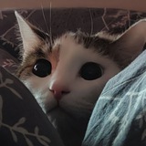 Telegram profile photo for Прикольное название 🐹🍇 (Сява)