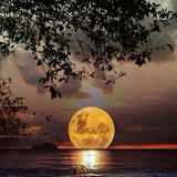 Telegram profile photo for صبح تان زیبا
