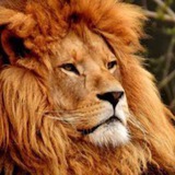Telegram profile photo for FIGHT NWO - JUST SAY NO