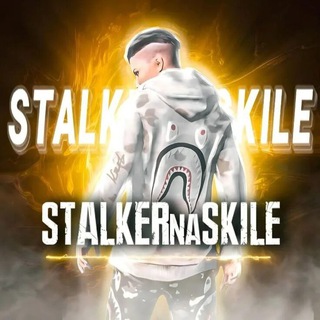 Telegram profile photo for База STALKERnaSKILLE