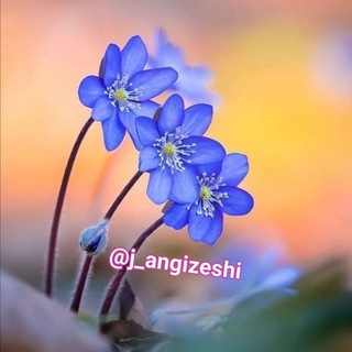 Telegram profile photo for جملات انگیزشی