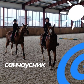 Telegram profile photo for 🌀ᙅанчоусник☀🐎
