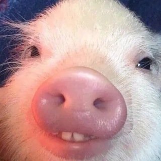 Telegram profile photo for Friday I'm In Love❤️