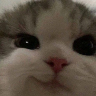 Telegram profile photo for марускус