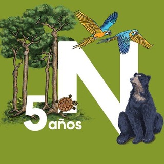 Telegram profile photo for Revista Nómadas