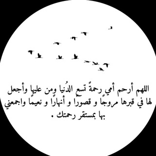 Telegram profile photo for صدقه جاريه🕊️.