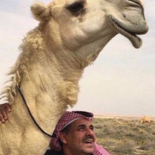 Telegram profile photo for اليـاميّ ١