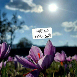 Telegram profile photo for 🌕 شیرازآباد نگین براکوه 🌕