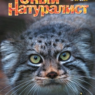 Telegram profile photo for Юный натуралист