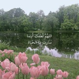Telegram profile photo for ذكــــر