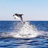 Telegram profile photo for Мурманский берег