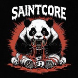Telegram profile photo for SAINTCORE - SPB HC GIGS