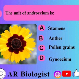 Telegram profile photo for Student