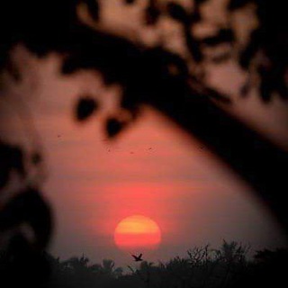 Telegram profile photo for কী ভাবছে বাংলাদেশ?
