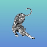 Telegram profile photo for ė