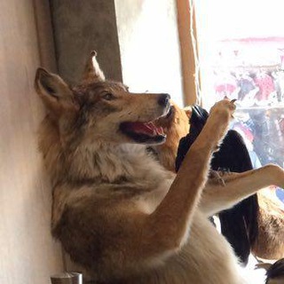 Telegram profile photo for Артём Подолин
