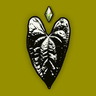 Telegram profile photo for Sim’s plants | Store