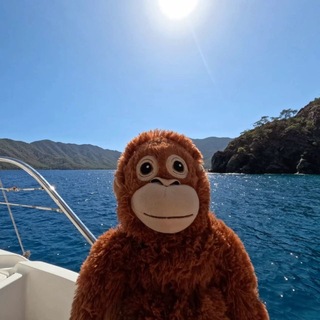 Telegram profile photo for Top list Orel