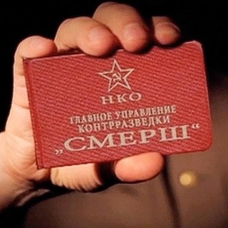 Telegram group profile photo for Чат. СМЕРШ БлиZко