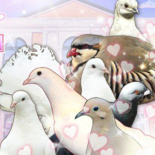 Telegram profile photo for hatoful boyfriend confession