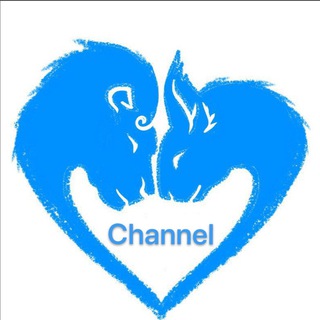 Telegram profile photo for Healing Mane Channel