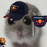 Telegram profile photo for go team verstappen wacing!