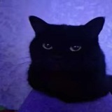 Telegram profile photo for Розыгрыш подарков