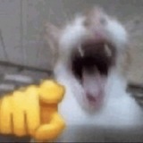 Telegram profile photo for you sold the bottom didn't you portal