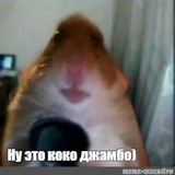 Telegram profile photo for РМТМ4