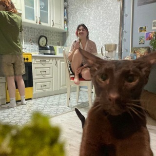 Telegram profile photo for Семья Спущенкиных