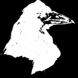 Telegram profile photo for Белый Грач