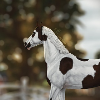 Telegram profile photo for The Grazing Ground