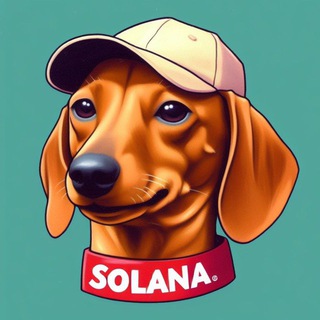 Telegram profile photo for $WIENER 🌭🐾 OFFICIAL SOL Portal