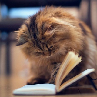 Telegram profile photo for Книжный чат