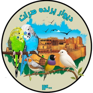 Telegram profile photo for دیوار پرنده هرات
