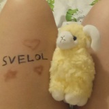 Telegram profile photo for SVELOL store