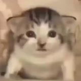 Telegram profile photo for Ебанувшийся Мурзилка