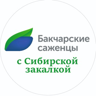 Telegram profile photo for Бакчарские саженцы | АО "Бакчарское" | Жимолость