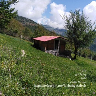 Telegram profile photo for فرهنگ و ادب تالش