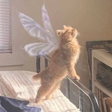 Telegram profile photo for Дневник инвестора
