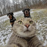 Telegram profile photo for derwy44 несёт ъуйню