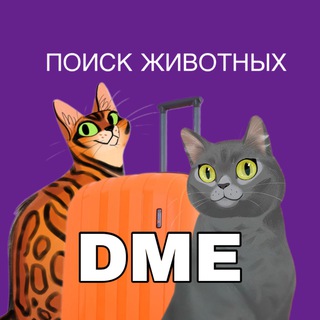 Telegram group profile photo for ЗоопоискDME✈️ - потеряшки в аэропорту Домодедово