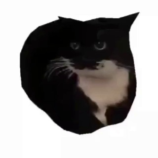 Telegram profile photo for Пустозвоня