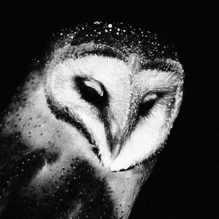 Telegram profile photo for 𝐀𝐍𝐆𝐒𝐓. REST